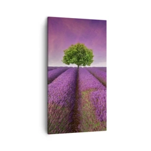 Impression sur toile - Image sur toile - Dans un champs de lavande - 45x80 cm