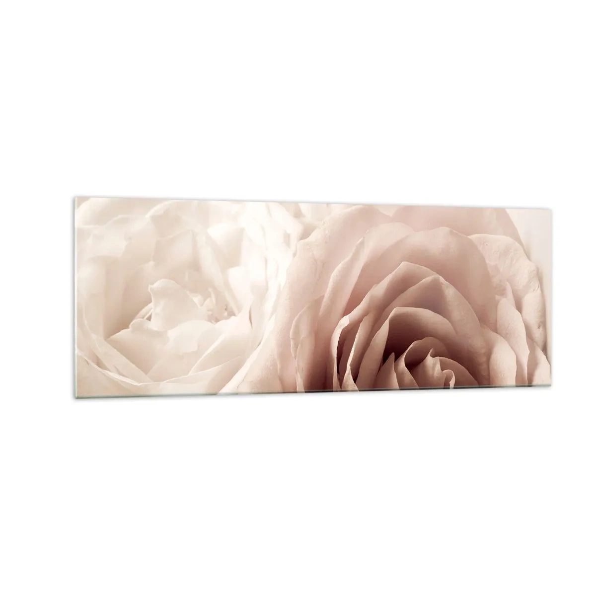Impression sur verre - Image sur verre - Roses délicates dans des tons pastel de beige - 140x50cm - Au coeur d'ue la rose - Décoration murale moderne pour le salon et la chambre ARTTOR