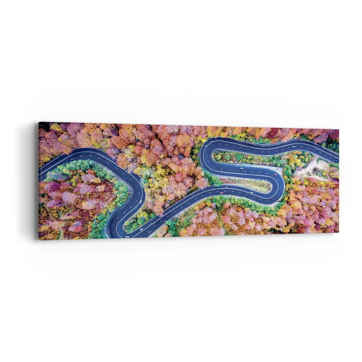 Impression sur toile - Image sur toile - Route sinueuse à travers la forêt - 90x30 cm