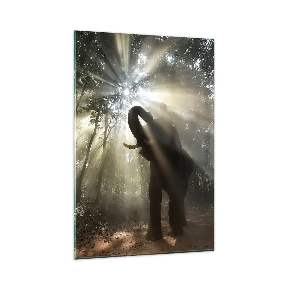 Impression sur verre - Image sur verre - Un éléphant dans la forêt entouré de rayons de lumière dans la brume matinale - 80x120cm - Sous la bonne étoile - Décoration murale moderne pour le salon et la chambre ARTTOR