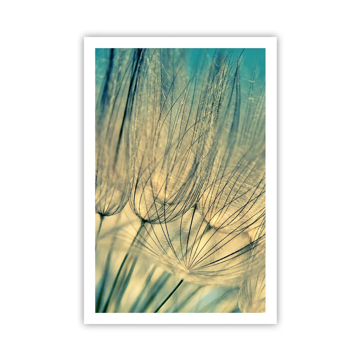 Affiche - Poster - En attente du vent - 61x91 cm