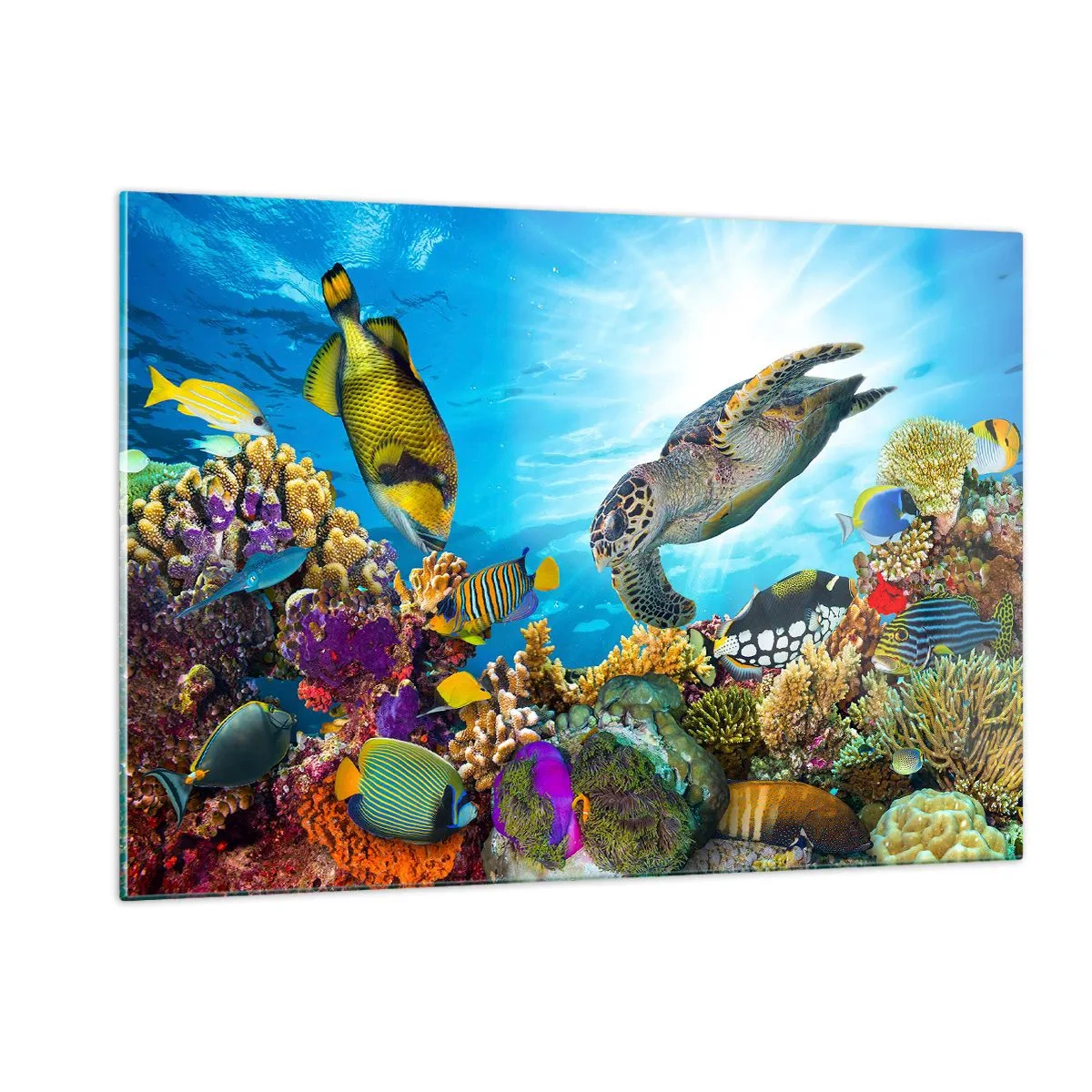 Impression sur verre - Image sur verre - Scène sous-marine avec tortue, poissons et coraux - 120x80cm - Promenade de corail - Décoration murale moderne pour le salon et la chambre ARTTOR