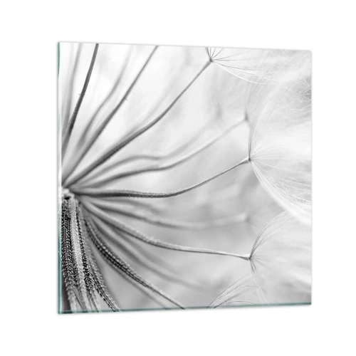 Impression sur verre - Image sur verre - Aigrette avant son envol - 30x30 cm