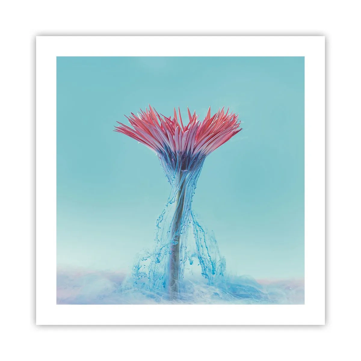 Affiche - Poster - Dans une étreinte vivifiante - 50x50 cm