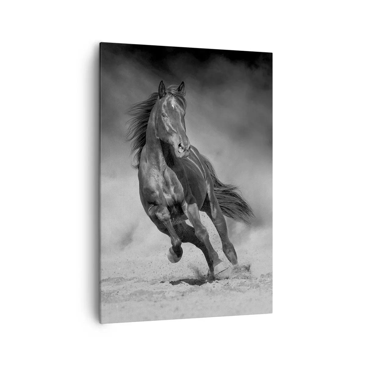 Impression sur toile - Image sur toile - Un cheval noir et blanc galopant sur le sable - 70x100cm - Digne de l'émir lui-même - Décoration murale moderne pour le salon et la chambre ARTTOR