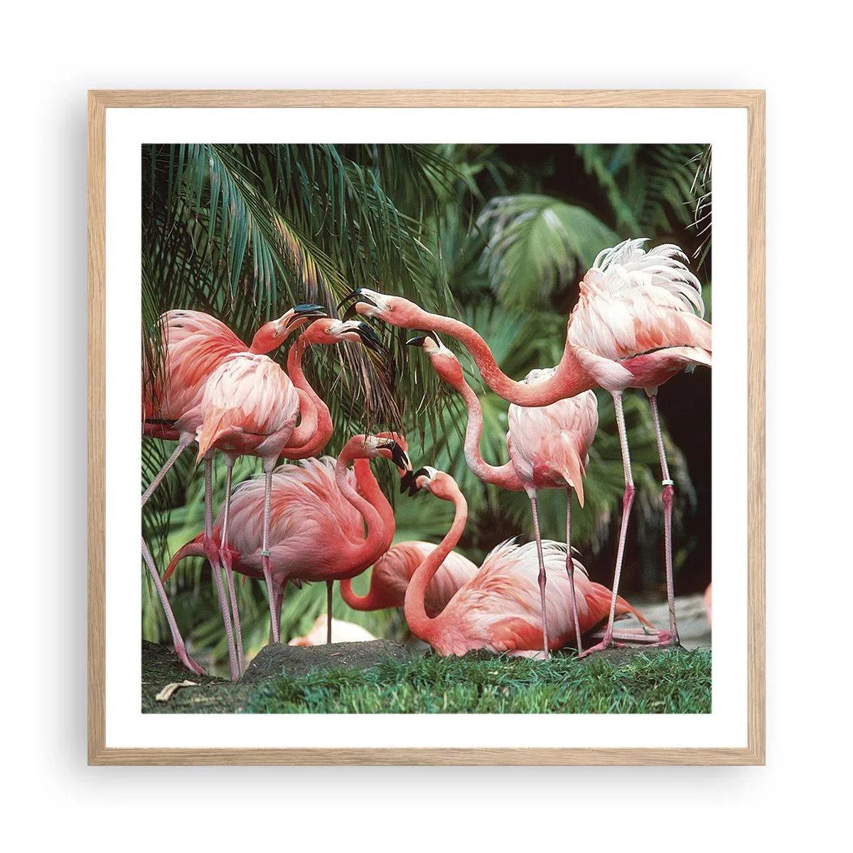 Affiche dans un chêne clair - Poster - Potins d'après-midi - 60x60 cm