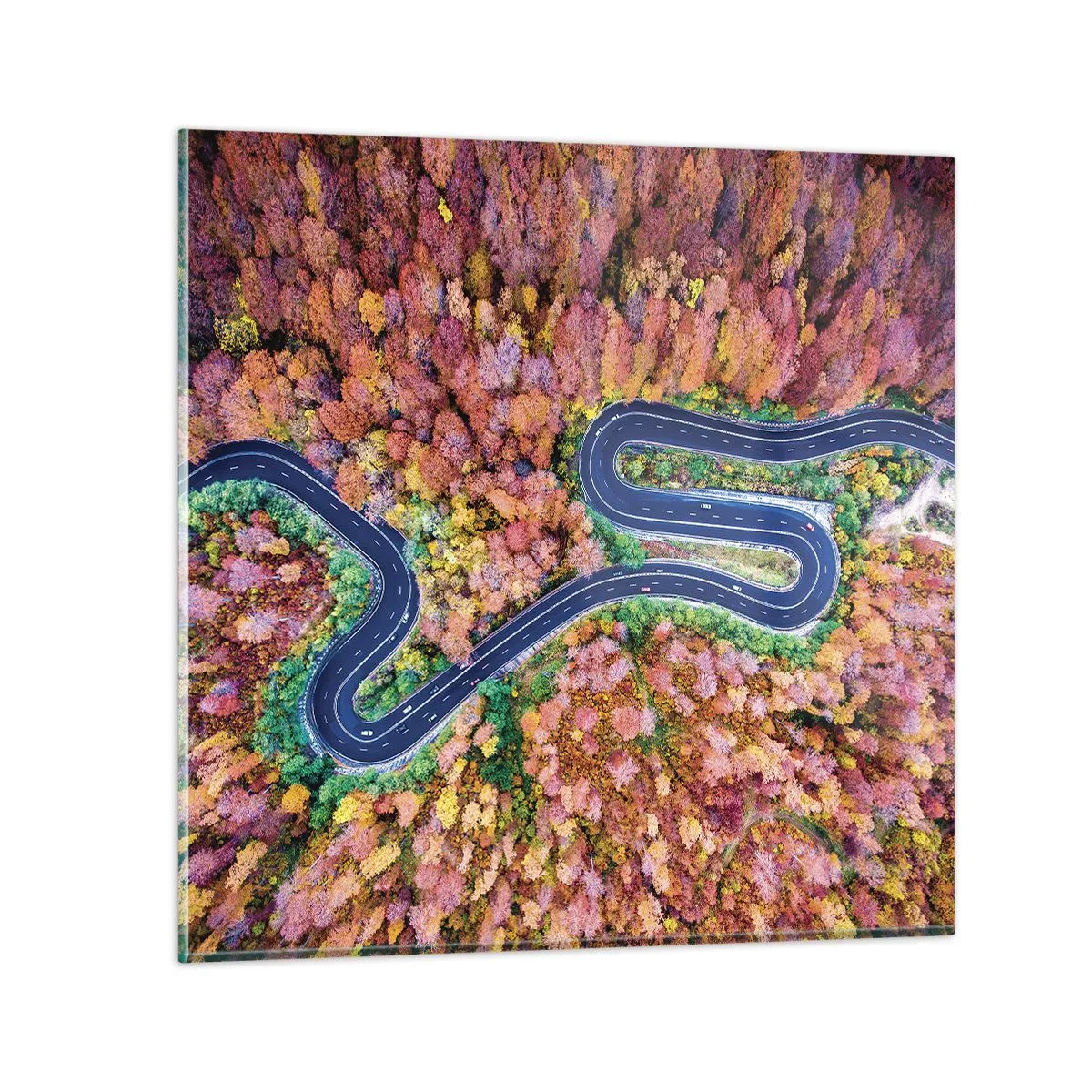 Impression sur verre - Image sur verre - Route sinueuse à travers la forêt - 70x70 cm