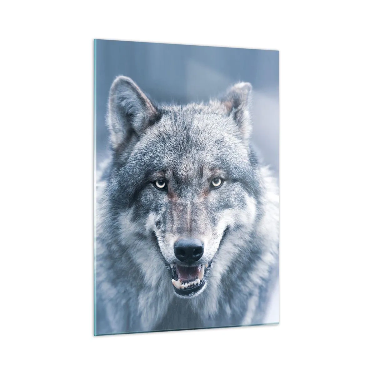 Impression sur verre - Image sur verre - Un loup au regard perçant sur fond de forêt enneigée - 50x70cm - Relèverez-vous le défi ? - Décoration murale moderne pour le salon et la chambre ARTTOR