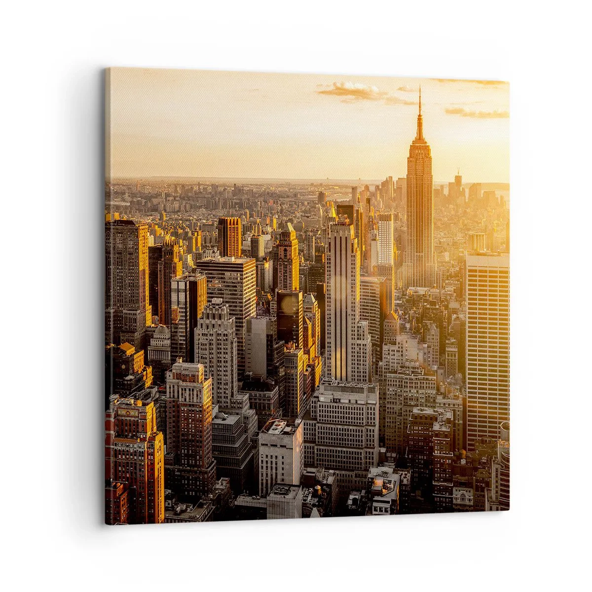 Impression sur toile - Image sur toile - Grandir au soleil - 60x60 cm