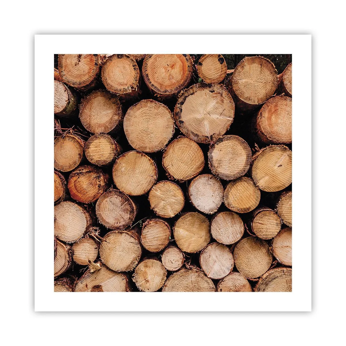 Affiche - Poster - Nouveau commencement - 50x50 cm