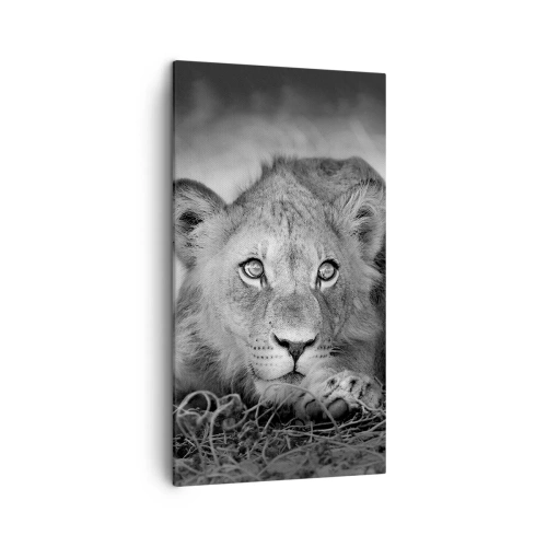 Impression sur toile - Image sur toile - Chiot royal - 45x80 cm