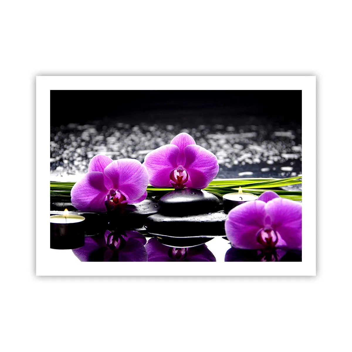 Affiche - Poster - Se noyer dans la paix et la tranquillité - 70x50 cm