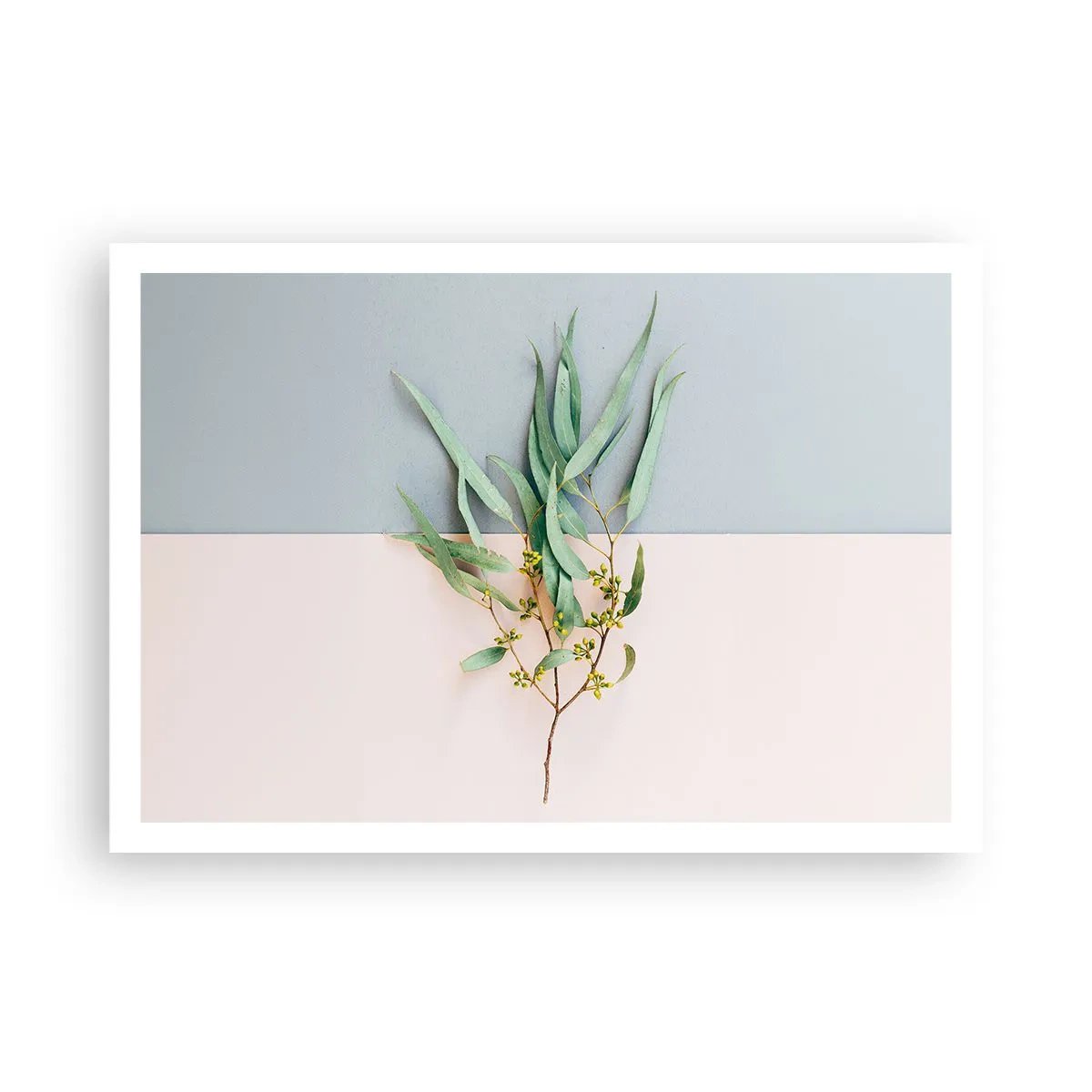 Affiche - Poster - Une branche avec des feuilles sur un fond de tons pastel - 100x70cm - Subtilité pastel - Décoration murale moderne pour le salon et la chambre ARTTOR