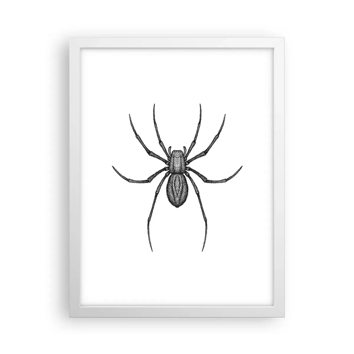 Affiche dans un cadre blanc - Poster - Une précision troublante - 30x40 cm