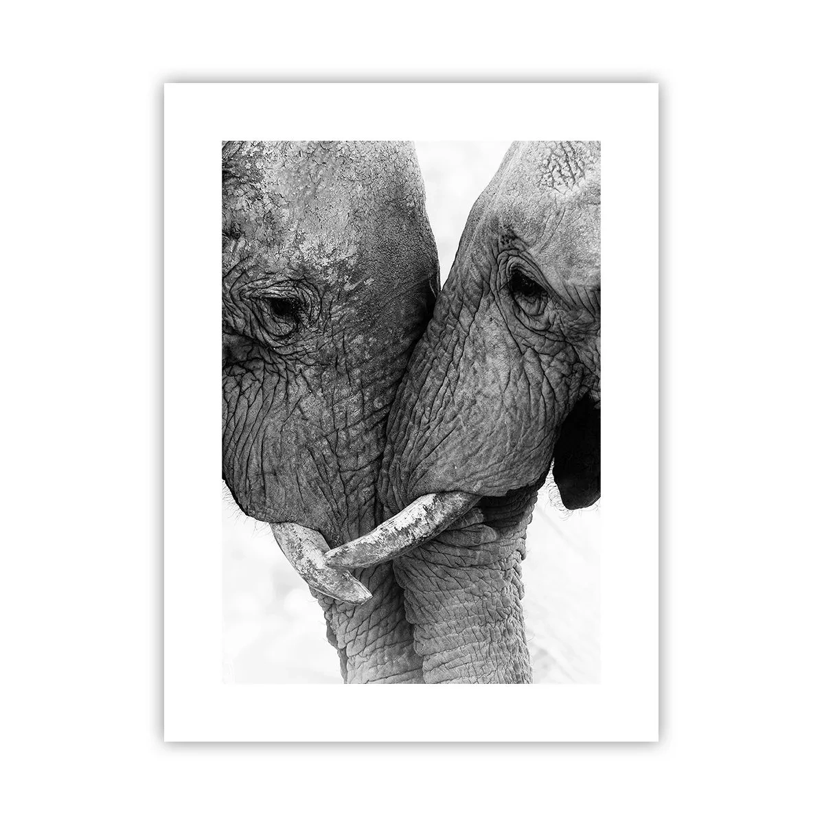 Affiche - Poster - Confession sincère - 30x40 cm