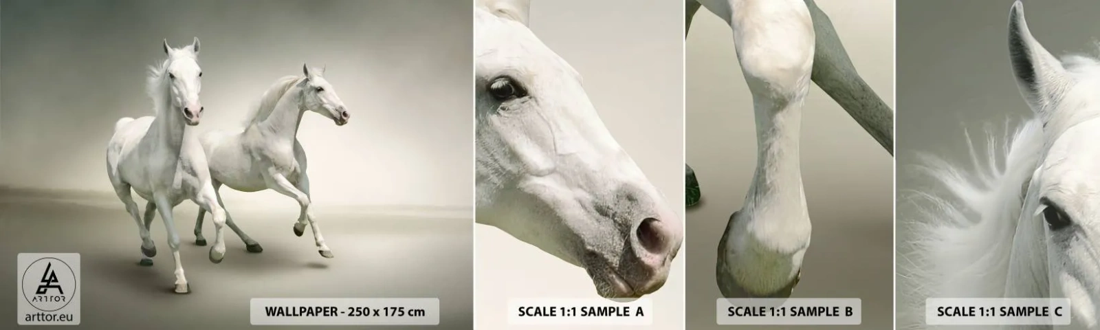 Échantillon de Papier Peint Autocollant Deluxe Sticker - White power! - Animaux, Les chevaux, Nature - 100x30 cm