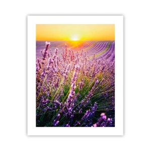 Affiche - Poster - Tige parfumée - 40x50 cm