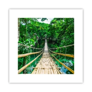 Affiche - Poster - Pont de singe en pleine nature - 30x30 cm