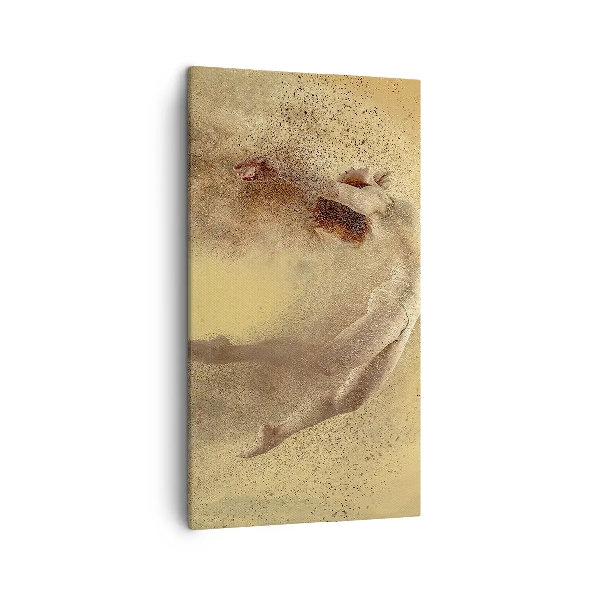 Impression sur toile - Image sur toile - Dans le ravissement de la danse - 45x80 cm