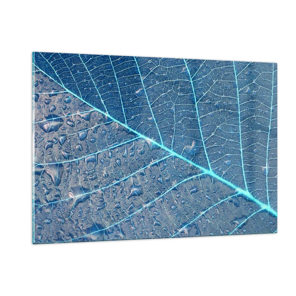 Impression sur verre - Image sur verre - Macrophotographie d'une feuille avec des gouttes d'eau dans des tons de bleu - 120x80cm - La vie en bleu - Décoration murale moderne pour le salon et la chambre ARTTOR